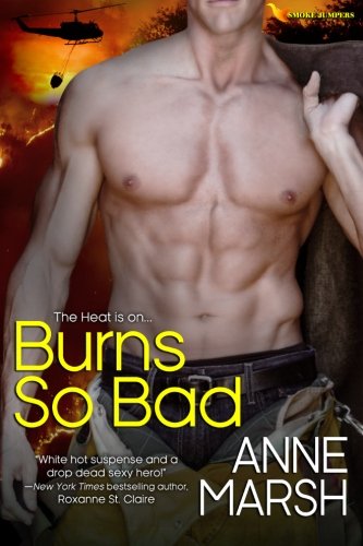 Burns So Bad book cover