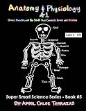 Anatomy Physiology Part 1 Bones Muscles And The Stuff That Connects Bones And Muscles Super Smart Science