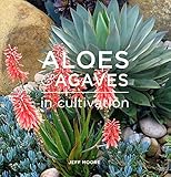 Aloes Agaves In Cultivation Sculptural Sentinel Succulents