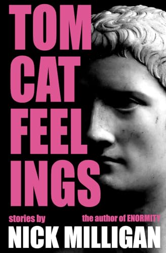 Tomcat Feelings book cover