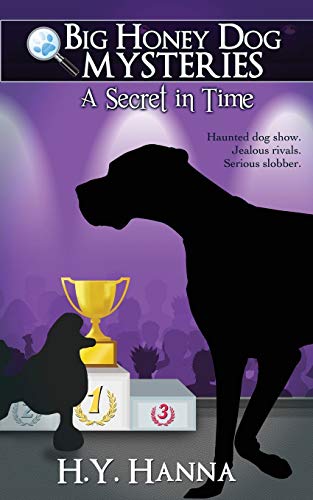 A Secret in Time book cover