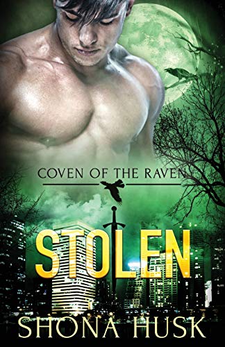 Stolen book cover