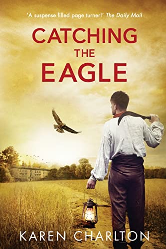 Catching the Eagle book cover