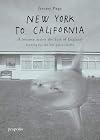 New York To California: A journey across the East of England searching for the not quite visible