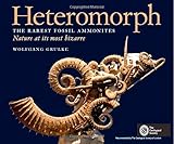 Heteromorph The Rarest Fossil Ammonites Nature At Its Most Bizarre