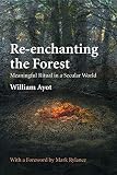 Reenchanting The Forest Meaningful Ritual In A Secular World