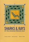 Sharks & Rays of the Arabian/Persian Gulf
