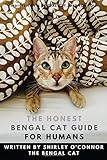 The Honest Bengal Cat Guide For Humans Bengal Cat And Kitten Care