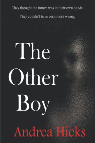 The Other Boy book cover