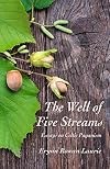 The Well of Five Streams: Essays on Celtic Paganism