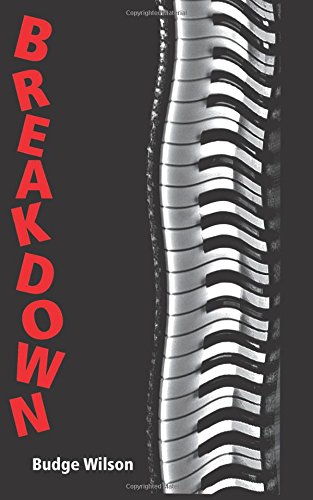 Breakdown book cover
