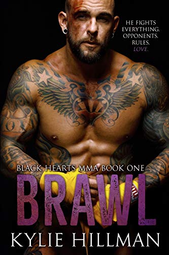 Brawl book cover