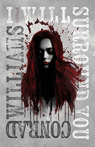 I Will Surround You book cover