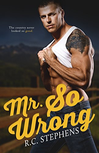 Mr. So Wrong cover
