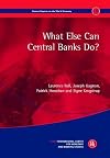 What Else Can Central Banks Do? (Geneva Reports on the World Economy)