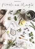 Plants Are Magic Magazine Volume 3 For Makers Dreamers Plant Lovers