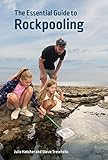 The Essential Guide To Rockpooling