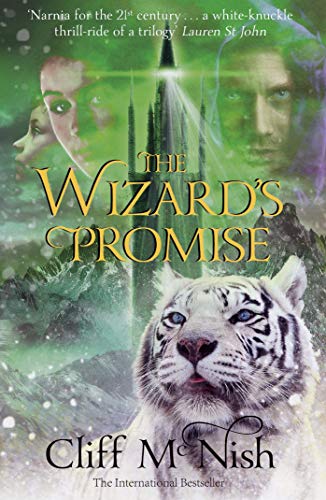 The Wizard's Promise cover
