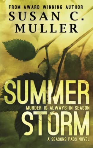 Summer Storm book cover