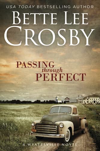 Passing through Perfect book cover