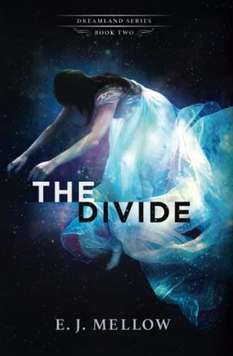 The Divide book cover