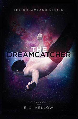 The Dreamcatcher book cover