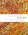 Magnetic Fields: Expanding American Abstraction, 1960s to Today