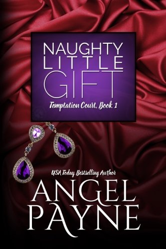 Naughty Little Gift book cover