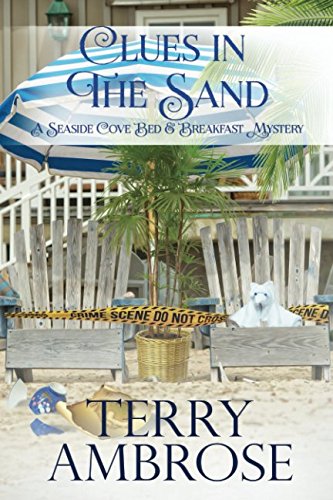 Clues in the Sand book cover