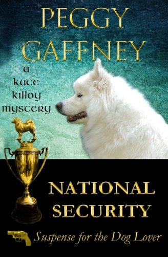 National Security book cover