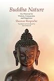 Buddha Nature Our Potential For Wisdom Compassion And Happiness