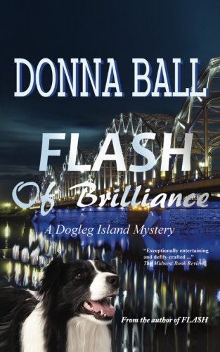 Flash of Brilliance book cover