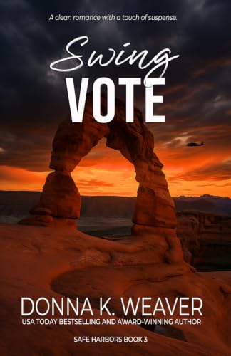 Swing Vote book cover
