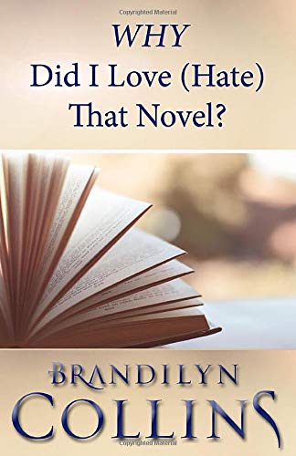 WHY Did I LoveThat Novel? book cover