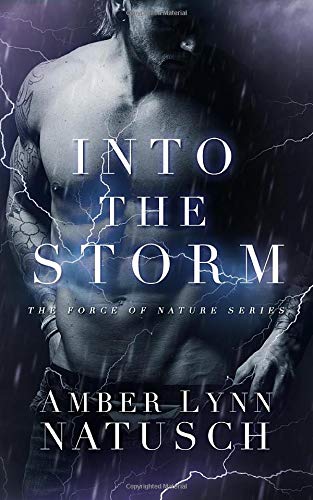 Into The Storm book cover