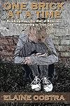One Brick at a Time: Breaking Down Wall of Bitterness and Learning to Trust God
