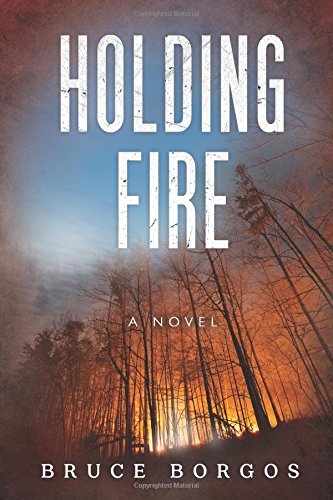 Holding Fire book cover