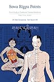Sowa Rigpa Points Point Study In Traditional Tibetan Medicine