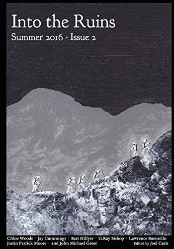 Into the Ruins: Summer 2016 book cover