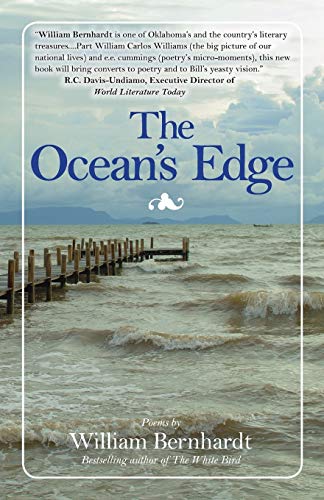 The Ocean's Edge book cover