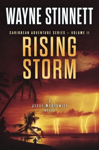 Rising Storm book cover