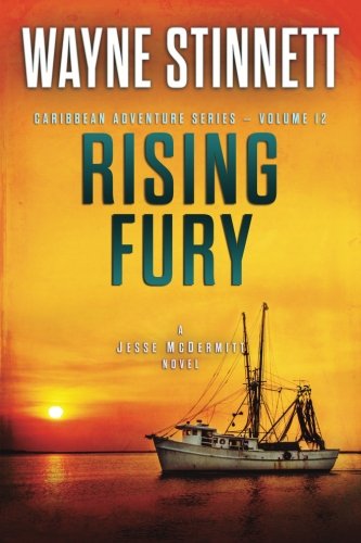 Rising Fury book cover