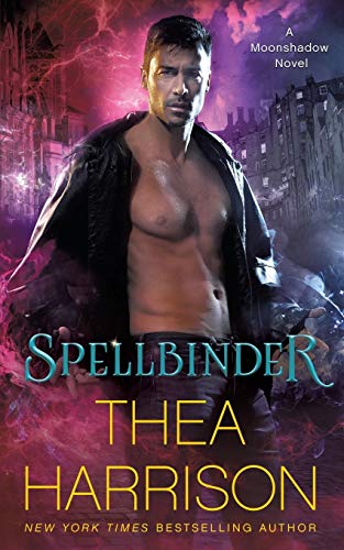 Spellbinder book cover