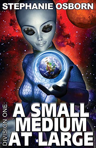 A Small Medium At Large book cover