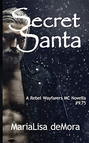 Secret Santa book cover