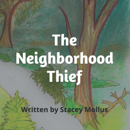 Cover of Neighborhood Thief