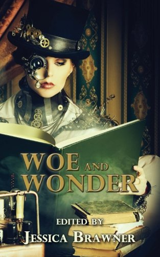 Woe and Wonder book cover