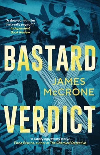 Bastard Verdict book cover