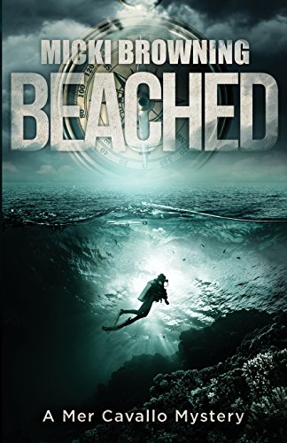 Beached book cover