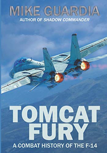 Tomcat Fury: A Combat History of the F-14 cover